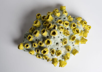 keramikskulptur-Korallenbluete-2022-anna-moll