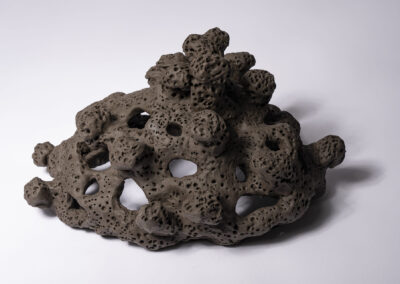 keramikskulptur-Nachtgewaechs-2025-anna-moll